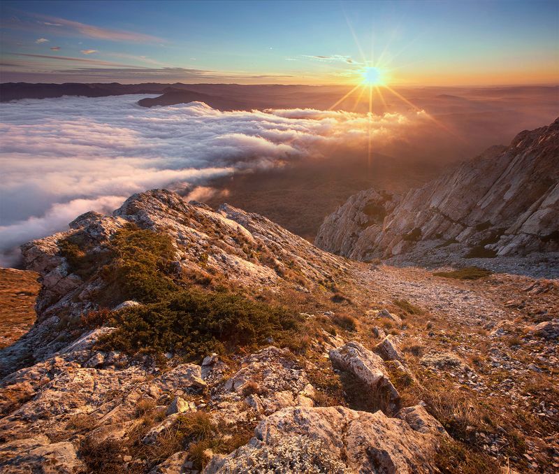 По дороге домойphoto preview