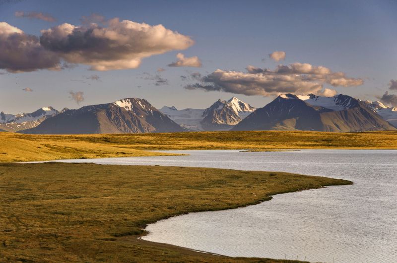 золото Кальджинколяphoto preview