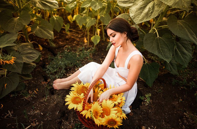 Соняхиphoto preview