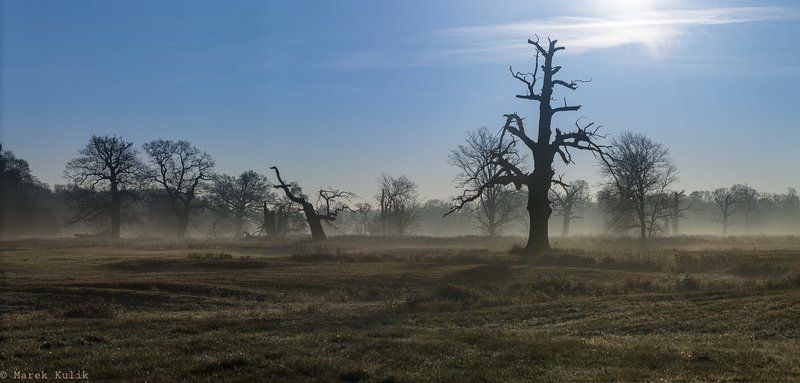 Rogalin Rogalinphoto preview