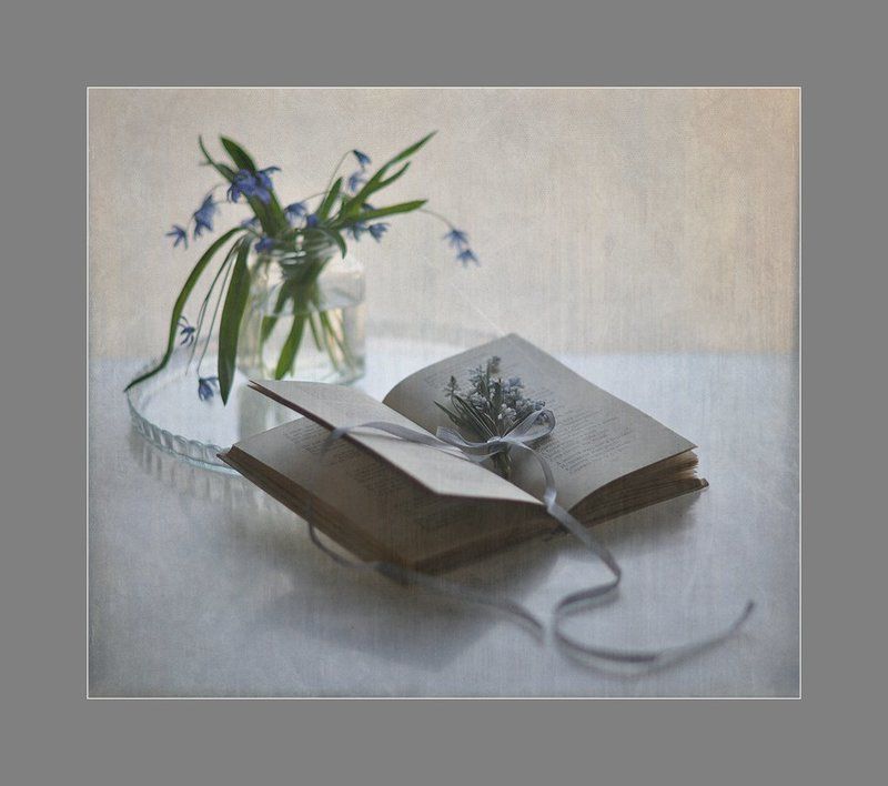 Оставив след в душе моей...photo preview