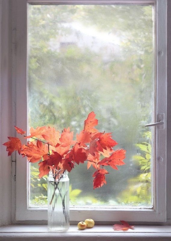 Ноябрьphoto preview