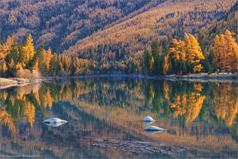 алтай Зелёные, рыжие и просто огонь!photo preview