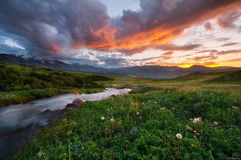 лето, вечер, тургень, бартугуль Летний вечерphoto preview