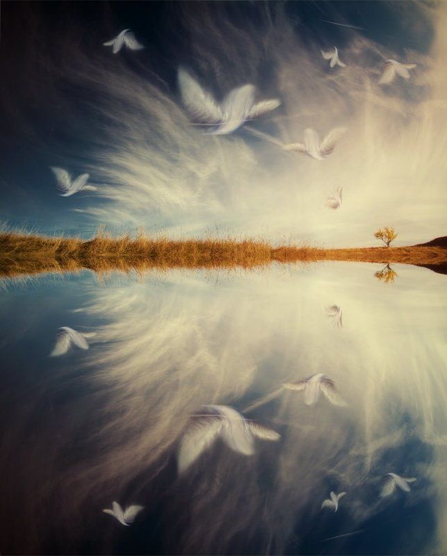 ...I\'m loving angels instead...photo preview