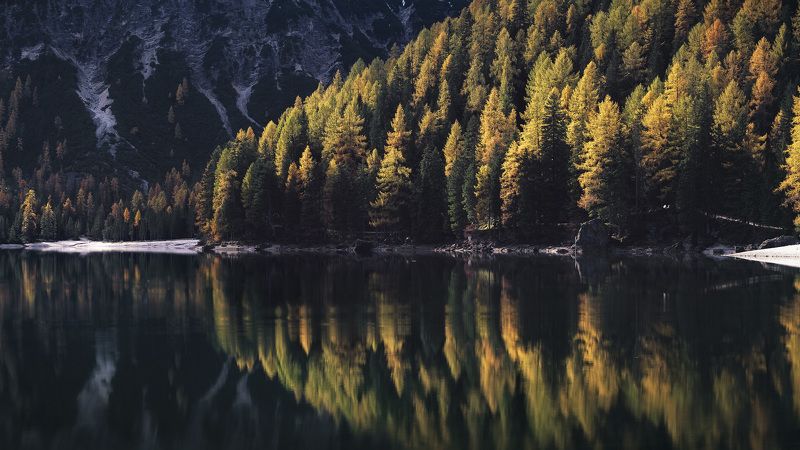 Осенняя симметрияphoto preview