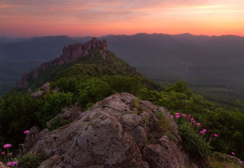 Индюк засыпаетphoto preview