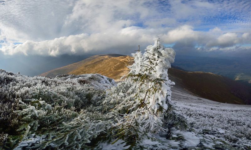 горы, карпати, карпаты, боржава, пилипець Межсезоньеphoto preview