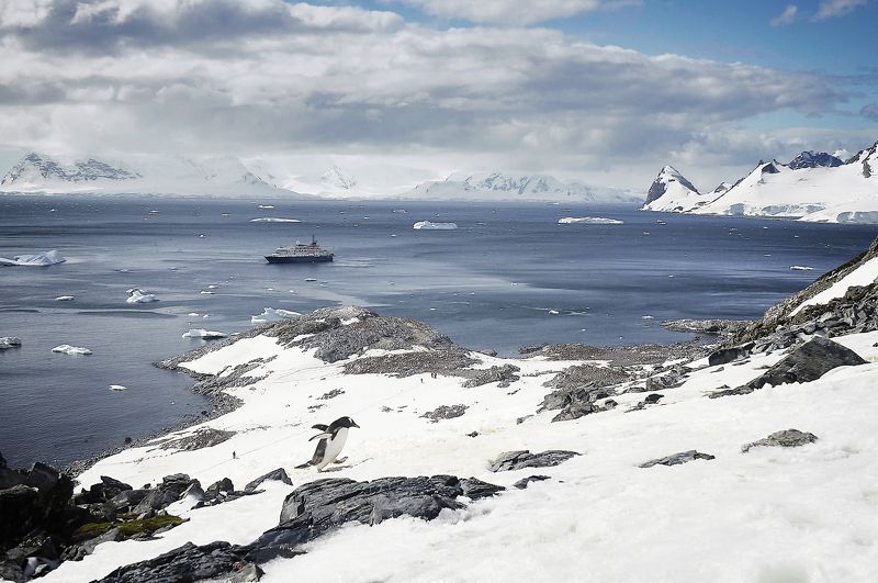 Антарктида, пингвин, гора, снег, океан, айсберг, корабль, облака, небо Царь горыphoto preview