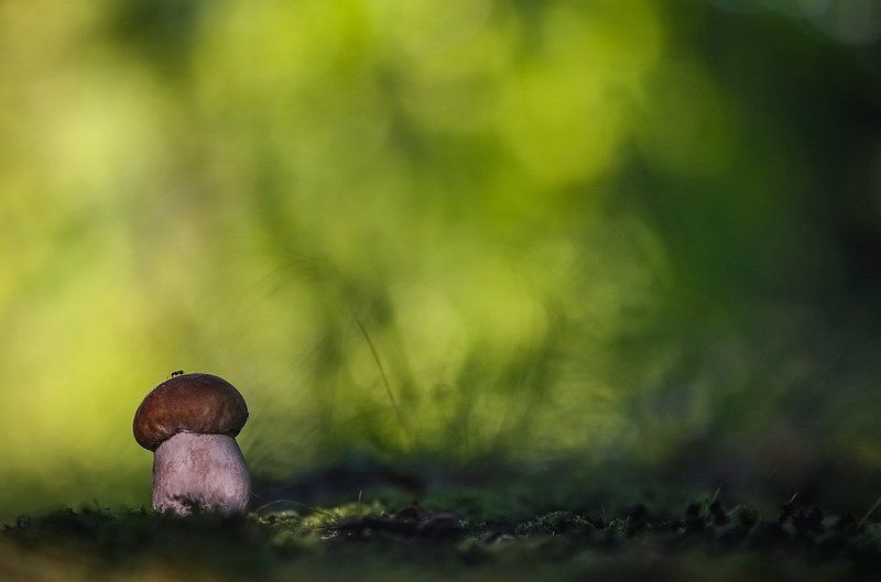 В этом огромном миреphoto preview