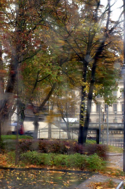 погода, осень, дождь Осенняя photo preview