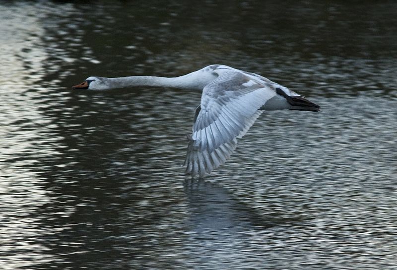 #7 фото превью