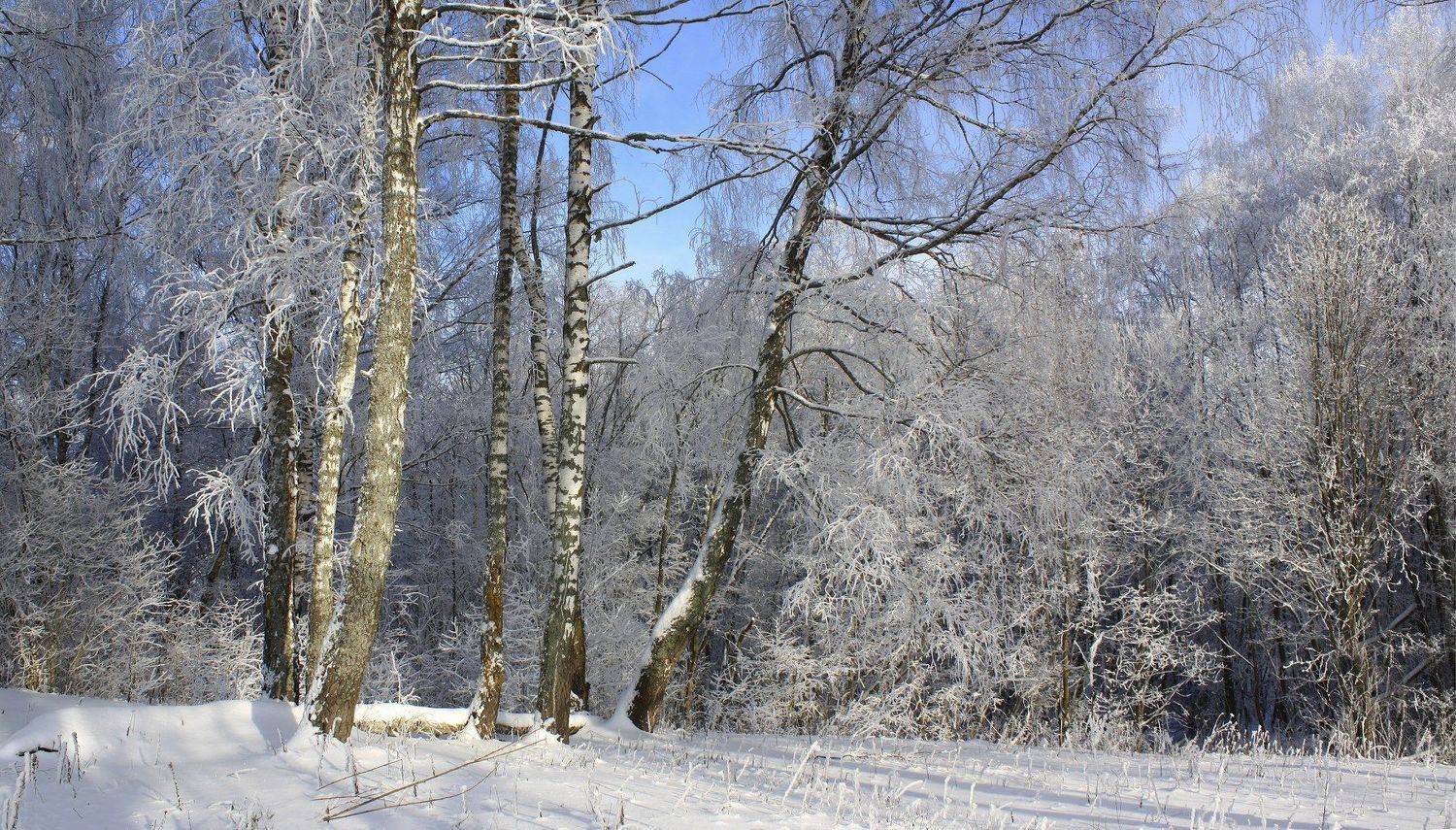 зима, Свистков Александр