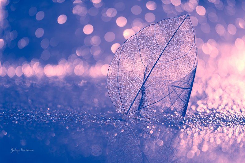 Про парусник,лодочку и пробиркиphoto preview