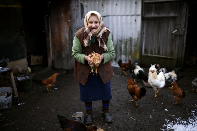 Жизнь в деревни.photo preview