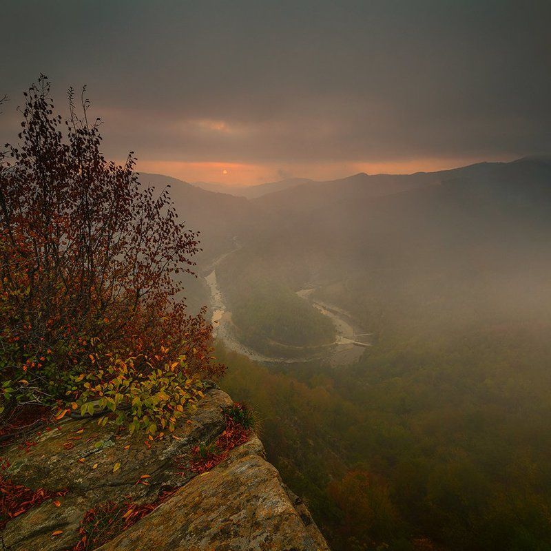 Туманное утро фото превью