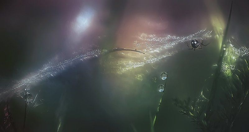 ..лето.. ...летний сон..photo preview