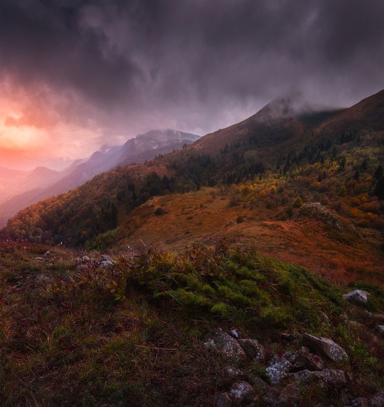 Штормовое предупреждениеphoto preview