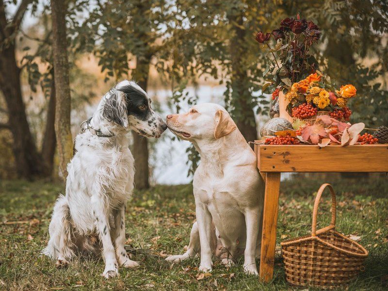 Свиданиеphoto preview