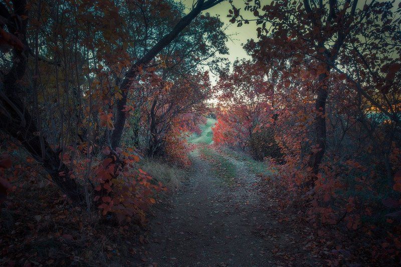 Утро зовёт!!!photo preview