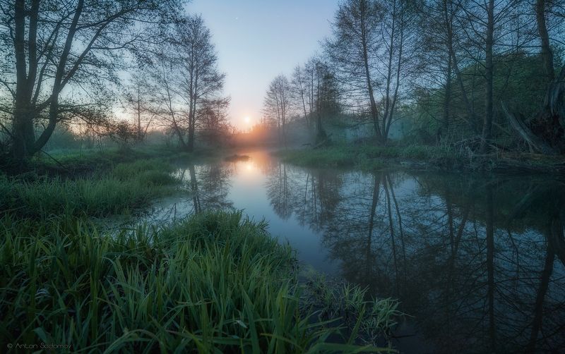 пейзаж, рассвет, лес, река, вода, деревья, татищево, долга, саратов Рассвет на Идолгеphoto preview