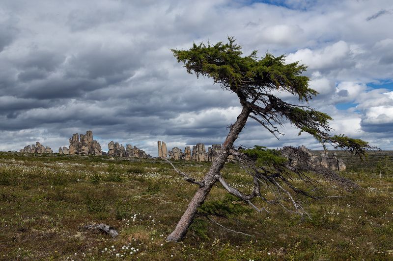 якутия, улахан-сис, заполярье, останцы В суровом краю.photo preview