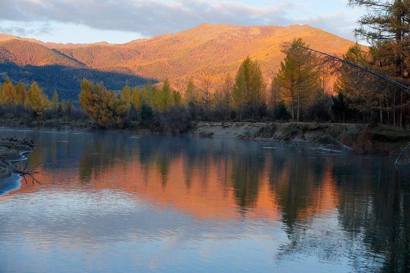 горная река, джазатор, вода, склоны, лиственницы, отражения, горы, горный алтай Pro розовые склоны и их отраженияphoto preview
