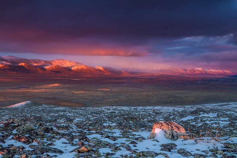 якутия, хребет черского, момский район, август, осень, высокогорье, тундра, север, закат, первый снег, russia, north landscape, yakutia, cold, far north, first snow, tundra Согревая осенний снегphoto preview