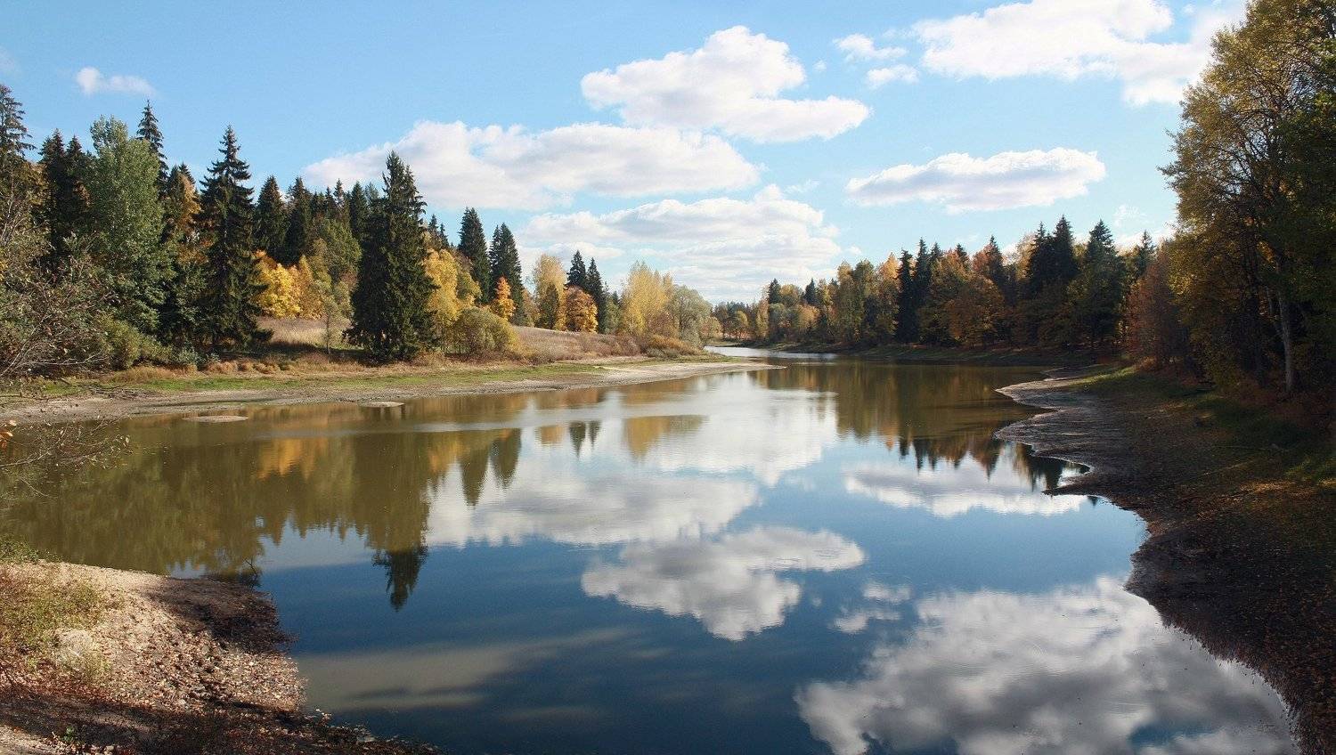 осень), Свистков Александр
