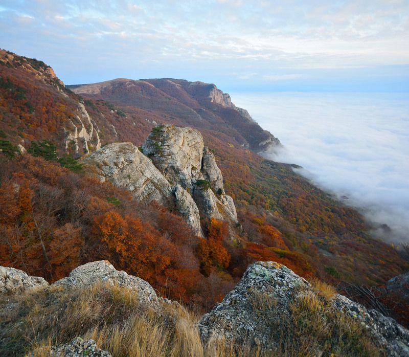крым, демирджи Золотые берега осениphoto preview