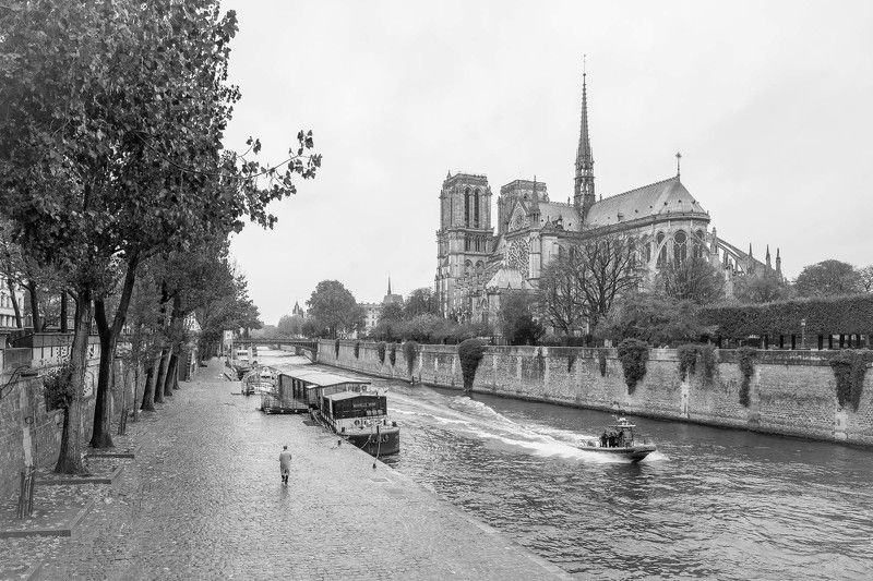Paris, Notre-Dame, BW La Solitude a Parisphoto preview