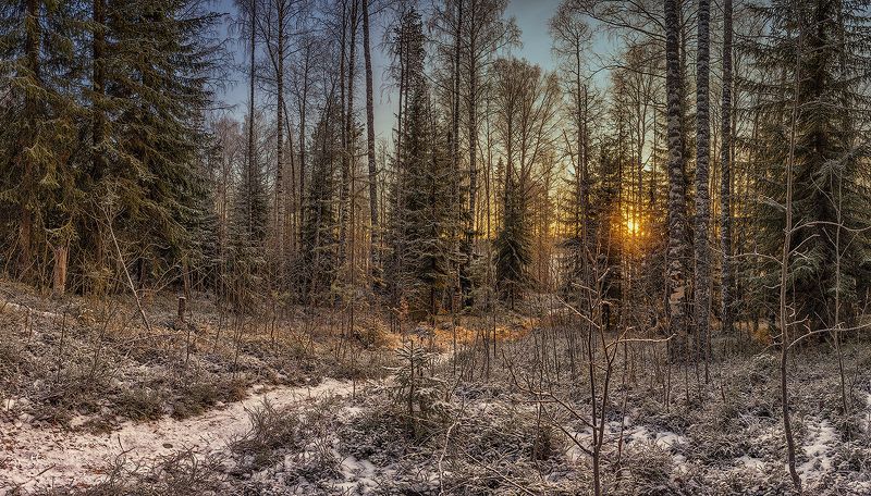 Тропинка к солнцуphoto preview