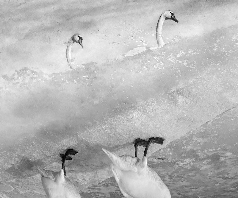 W lustrze...photo preview