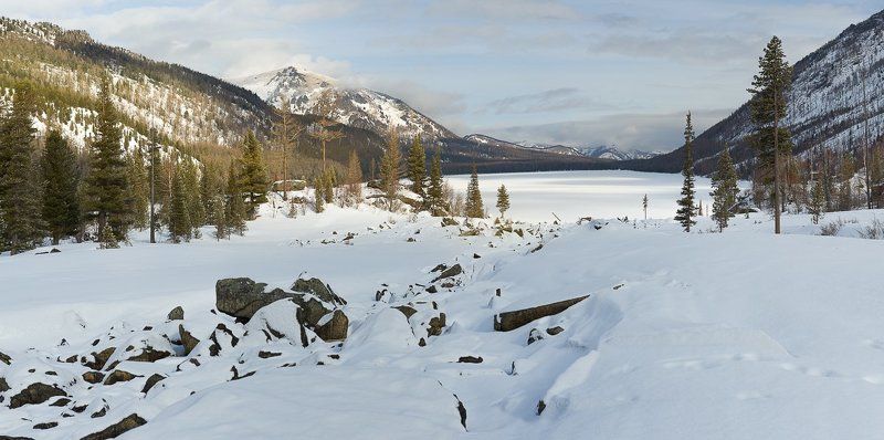 Шумы зимойphoto preview