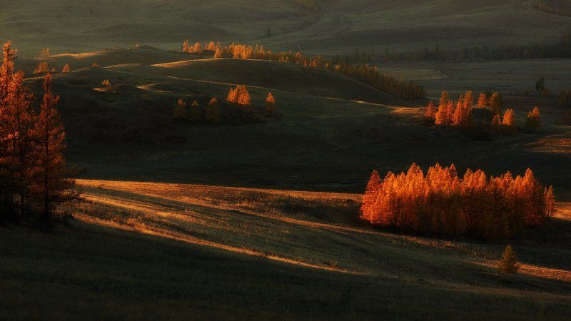 Холмогорские перезвоныphoto preview