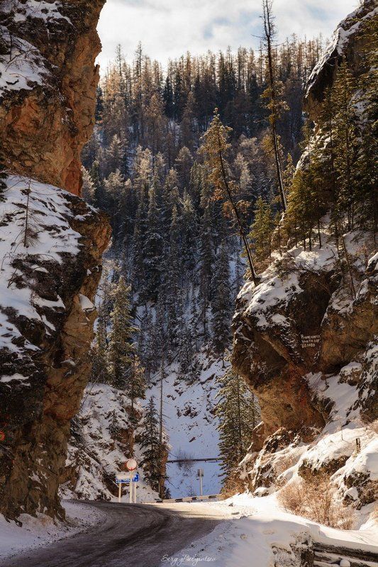 горный, алтай, красные, ворота, урочище, ущелье, каньон, чибитка, горы, лес, тайга, река, ручей Красные воротаphoto preview