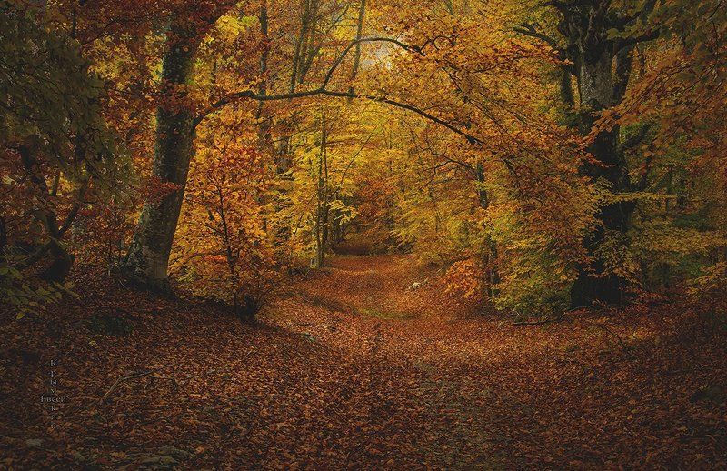 перевал,ноябрь,крым,осень. Крым.Дорога в осень. фото превью