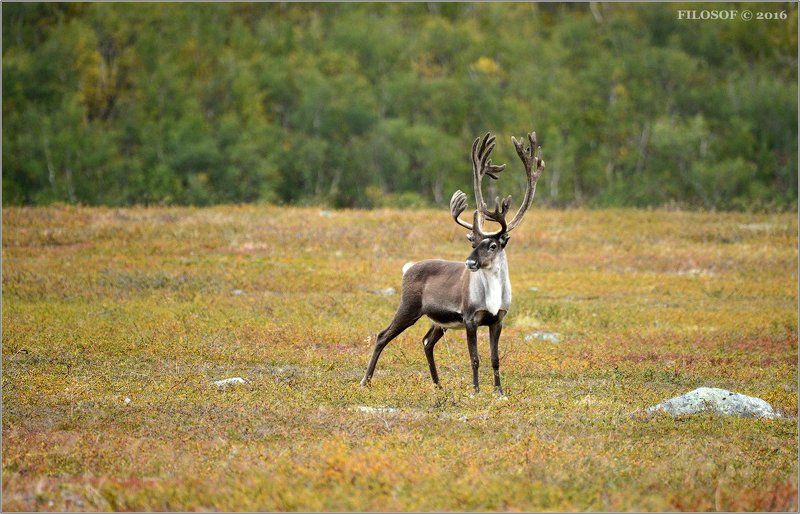 Норвегияphoto preview