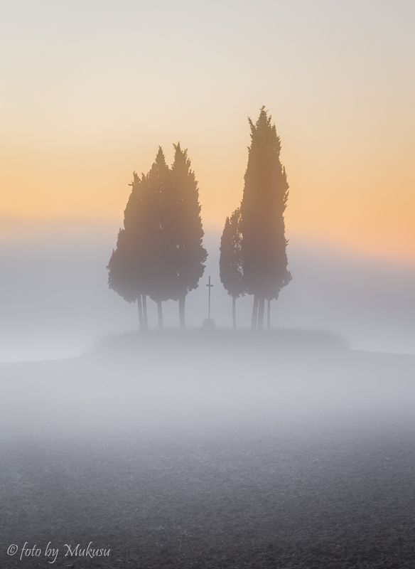 италия, тоскана, пейзаж, утро, туман, Утро Туманноеphoto preview