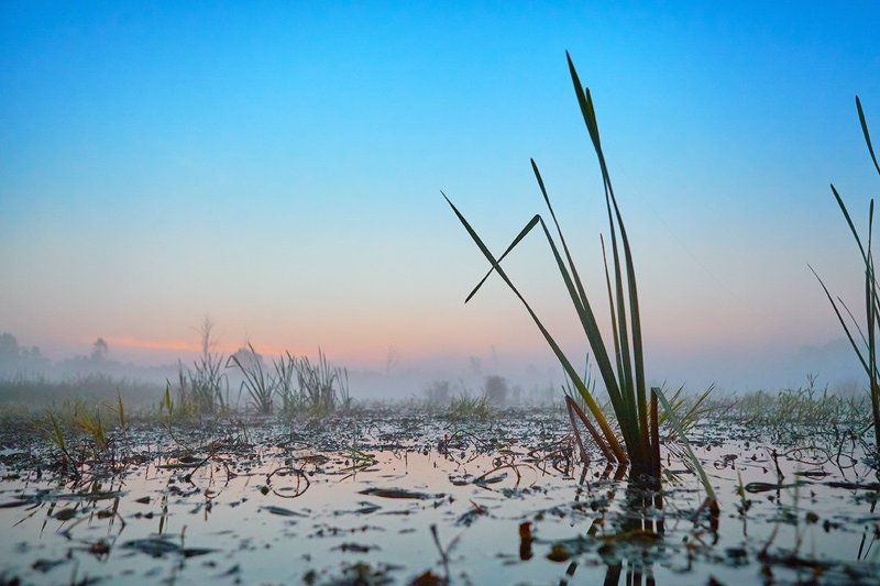 Сибирское утро туманноеphoto preview