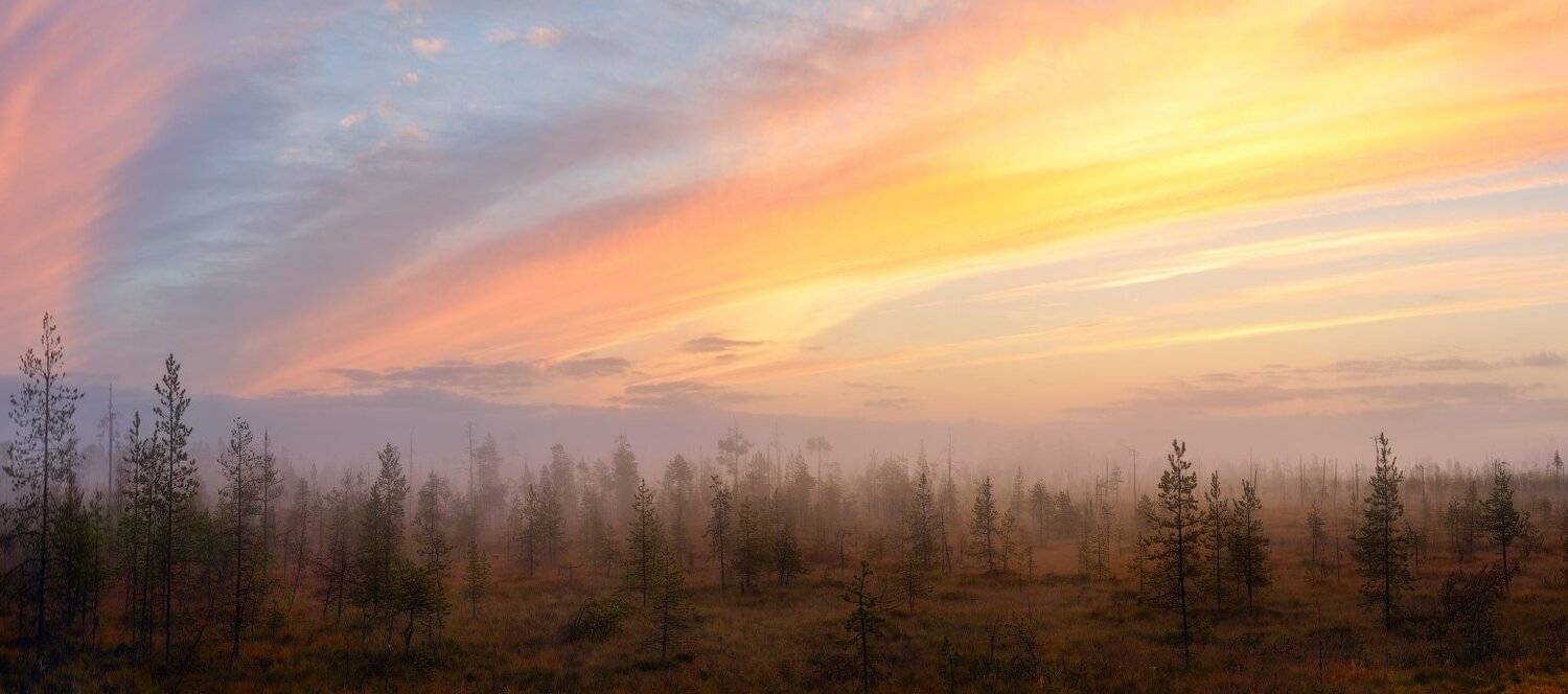 Карельским утром. Автор: Сергей Кочергин карелия, лоухи, кола, Сергей Кочергин