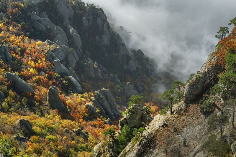 Крым, Демерджи Над Демерджи бродят туманыphoto preview