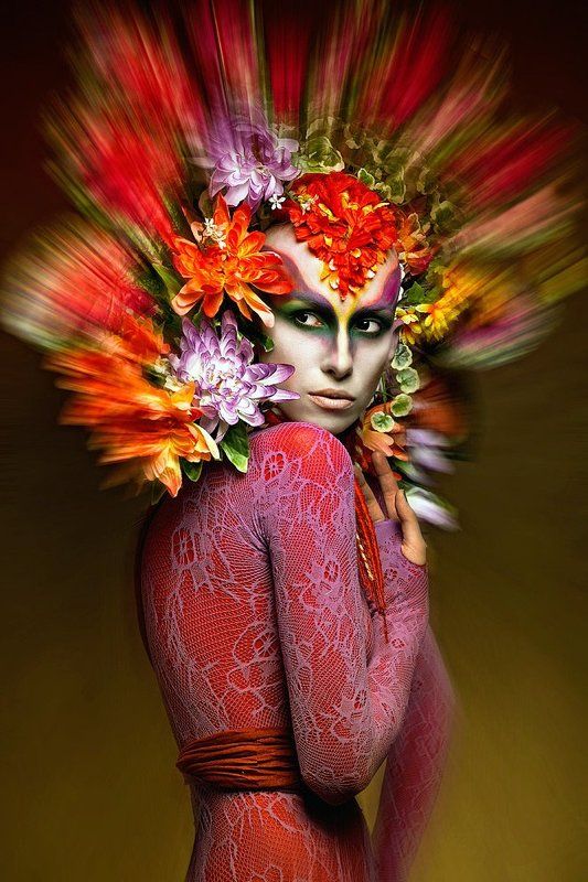 Птица - Фениксphoto preview