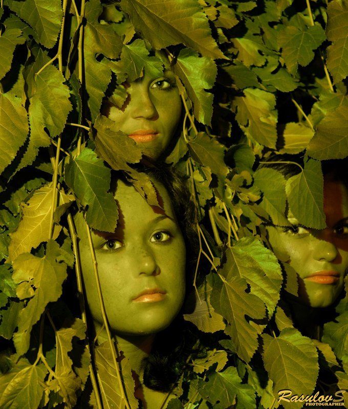 ЗАКОЛДОВАННЫЕ СЁСТРЫphoto preview