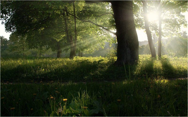 Утренний воздухphoto preview