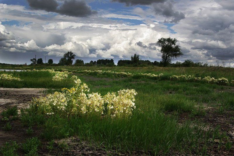 природа, зауралье, фотограф, руденко, олег ***photo preview
