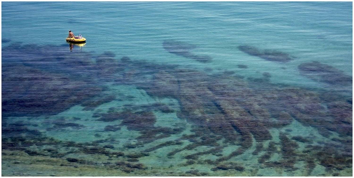 Беззаботность. Автор: Дёмка Артём крым, лисья бухта, Дёмка Артём