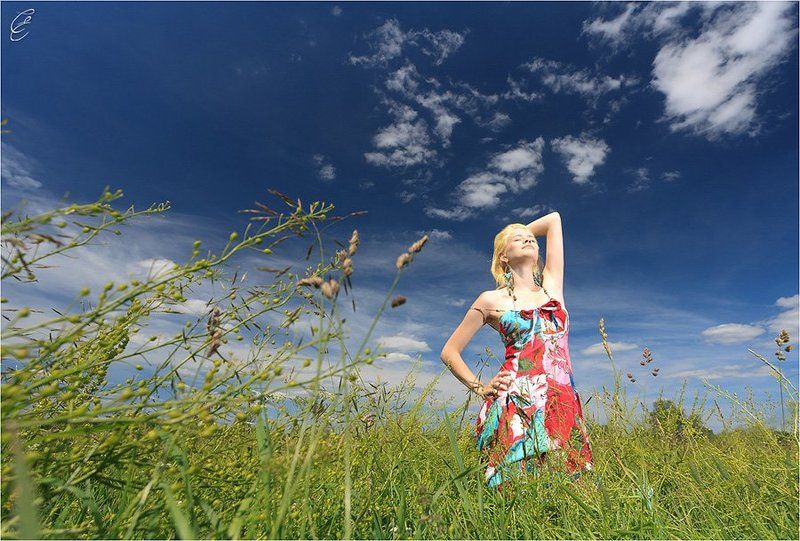 В летнем полеphoto preview