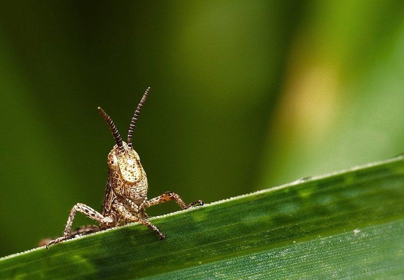 Промокphoto preview