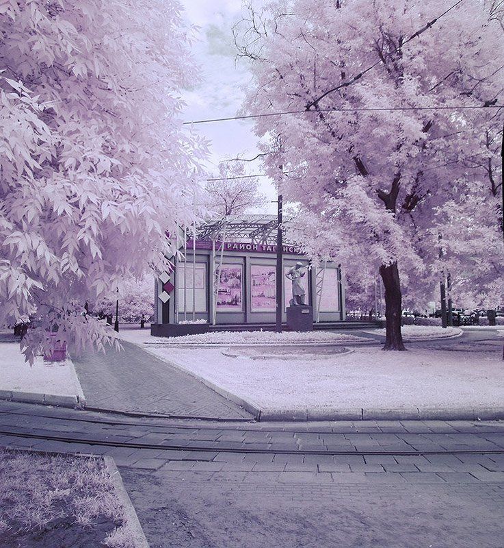 Переходphoto preview